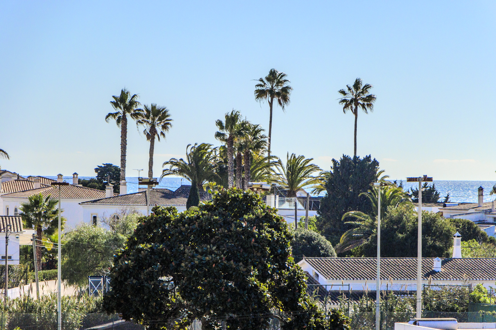 balcony view of palm trees